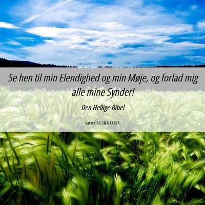 Picture 06 - Salme 25:18 DA1871 - Se hen til min Elendighed og min Møje, og forlad - Bible Verse Picture