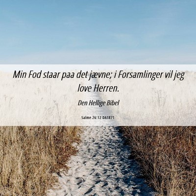 Picture 06 - Salme 26:12 DA1871 - Min Fod staar paa det jævne; i Forsamlinger vil - Bible Verse Picture