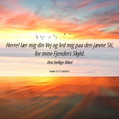 Picture 06 - Salme 27:11 DA1871 - Herre! lær mig din Vej og led mig paa den jævne - Bible Verse Picture
