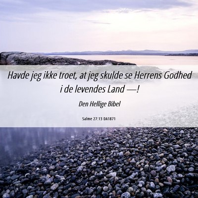 Picture 06 - Salme 27:13 DA1871 - Havde jeg ikke troet, at jeg skulde se Herrens - Bible Verse Picture