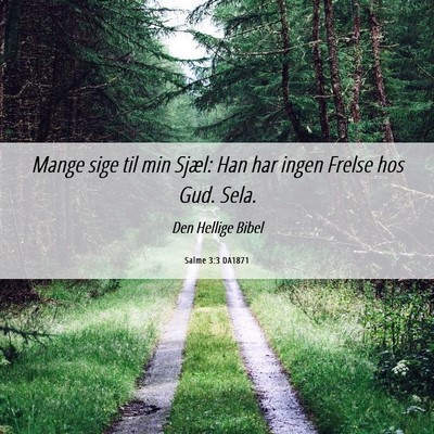 Picture 06 - Salme 3:3 DA1871 - Mange sige til min Sjæl: Han har ingen Frelse - Bible Verse Picture