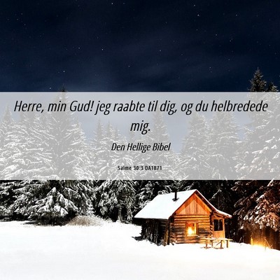 Picture 06 - Salme 30:3 DA1871 - Herre, min Gud! jeg raabte til dig, og du - Bible Verse Picture