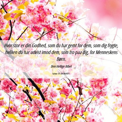 Picture 06 - Salme 31:20 DA1871 - Hvor stor er din Godhed, som du har gemt for dem, - Bible Verse Picture