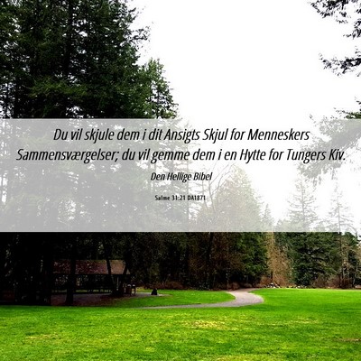 Picture 06 - Salme 31:21 DA1871 - Du vil skjule dem i dit Ansigts Skjul for - Bible Verse Picture