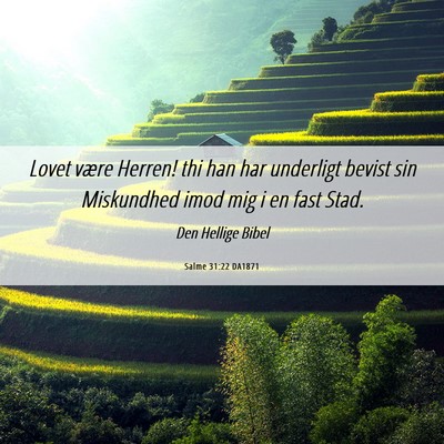 Picture 06 - Salme 31:22 DA1871 - Lovet være Herren! thi han har underligt bevist - Bible Verse Picture