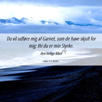 Picture 06 - Salme 31:5 DA1871 - Du vil udføre mig af Garnet, som de have skjult - Bible Verse Picture