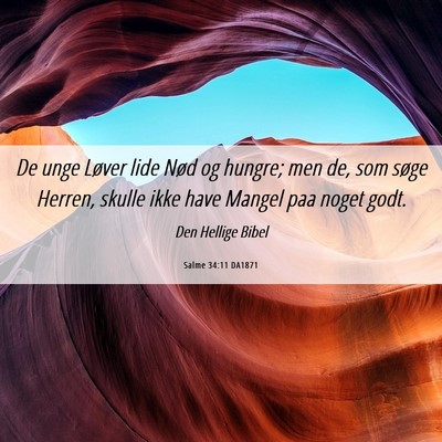 Picture 06 - Salme 34:11 DA1871 - De unge Løver lide Nød og hungre; men de, som - Bible Verse Picture