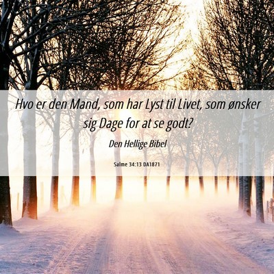 Picture 06 - Salme 34:13 DA1871 - Hvo er den Mand, som har Lyst til Livet, som - Bible Verse Picture