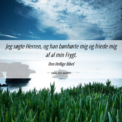 Picture 06 - Salme 34:5 DA1871 - Jeg søgte Herren, og han bønhørte mig og - Bible Verse Picture