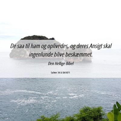 Picture 06 - Salme 34:6 DA1871 - De saa til ham og oplivedes, og deres Ansigt skal - Bible Verse Picture