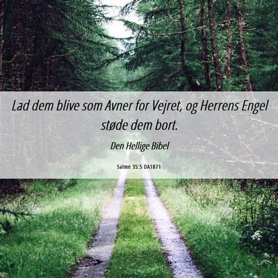 Picture 06 - Salme 35:5 DA1871 - Lad dem blive som Avner for Vejret, og Herrens - Bible Verse Picture