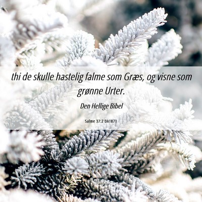 Picture 06 - Salme 37:2 DA1871 - thi de skulle hastelig falme som Græs, og visne - Bible Verse Picture