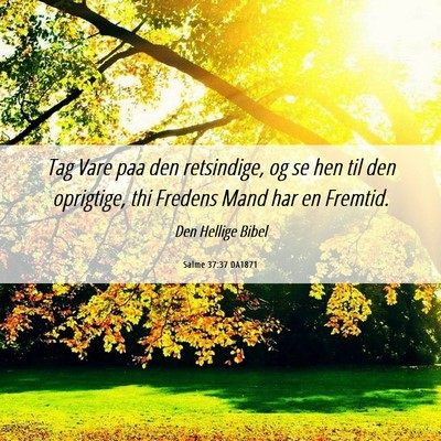 Picture 06 - Salme 37:37 DA1871 - Tag Vare paa den retsindige, og se hen til den - Bible Verse Picture