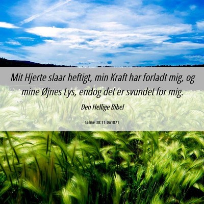 Picture 06 - Salme 38:11 DA1871 - Mit Hjerte slaar heftigt, min Kraft har forladt - Bible Verse Picture