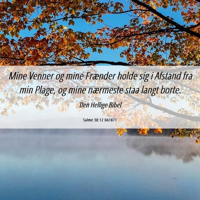 Picture 06 - Salme 38:12 DA1871 - Mine Venner og mine Frænder holde sig i Afstand - Bible Verse Picture