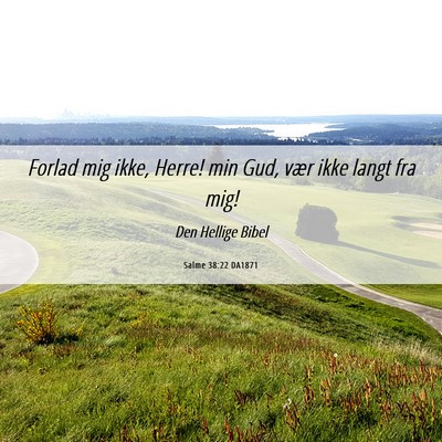 Picture 06 - Salme 38:22 DA1871 - Forlad mig ikke, Herre! min Gud, vær ikke langt - Bible Verse Picture