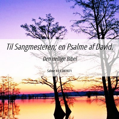 Picture 06 - Salme 41:1 DA1871 - Til Sangmesteren; en Psalme af - Bible Verse Picture