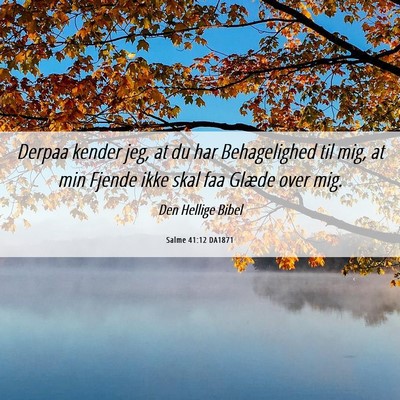 Picture 06 - Salme 41:12 DA1871 - Derpaa kender jeg, at du har Behagelighed til - Bible Verse Picture