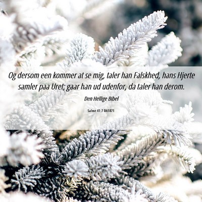 Picture 06 - Salme 41:7 DA1871 - Og dersom een kommer at se mig, taler han - Bible Verse Picture