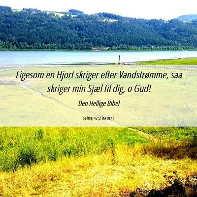 Picture 06 - Salme 42:2 DA1871 - Ligesom en Hjort skriger efter Vandstrømme, saa - Bible Verse Picture