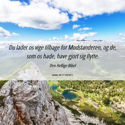 Picture 06 - Salme 44:11 DA1871 - Du lader os vige tilbage for Modstanderen, og de, - Bible Verse Picture