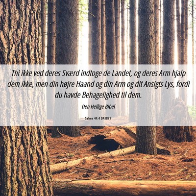 Picture 06 - Salme 44:4 DA1871 - Thi ikke ved deres Sværd indtoge de Landet, og - Bible Verse Picture