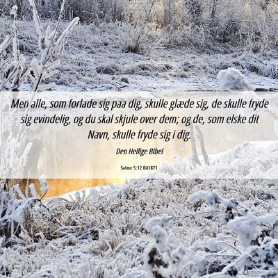 Picture 06 - Salme 5:12 DA1871 - Men alle, som forlade sig paa dig, skulle glæde - Bible Verse Picture