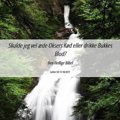 Picture 06 - Salme 50:13 DA1871 - Skulde jeg vel æde Oksers Kød eller drikke - Bible Verse Picture