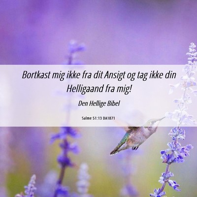 Picture 06 - Salme 51:13 DA1871 - Bortkast mig ikke fra dit Ansigt og tag ikke din - Bible Verse Picture