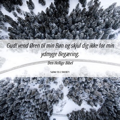 Picture 06 - Salme 55:2 DA1871 - Gud! vend Øren til min Bøn og skjul dig ikke - Bible Verse Picture
