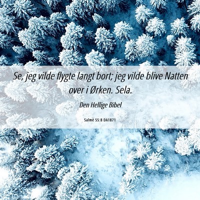 Picture 06 - Salme 55:8 DA1871 - Se, jeg vilde flygte langt bort; jeg vilde blive - Bible Verse Picture