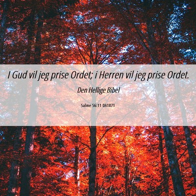Picture 06 - Salme 56:11 DA1871 - I Gud vil jeg prise Ordet; i Herren vil jeg prise - Bible Verse Picture