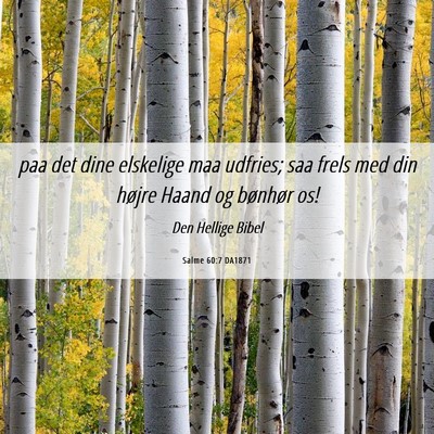 Picture 06 - Salme 60:7 DA1871 - paa det dine elskelige maa udfries; saa frels med - Bible Verse Picture