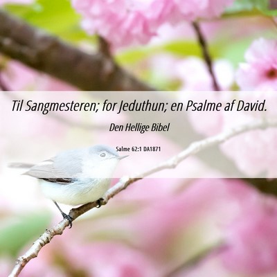 Picture 06 - Salme 62:1 DA1871 - Til Sangmesteren; for Jeduthun; en Psalme af - Bible Verse Picture