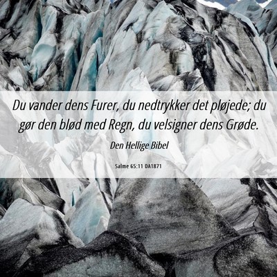 Picture 06 - Salme 65:11 DA1871 - Du vander dens Furer, du nedtrykker det pløjede; - Bible Verse Picture