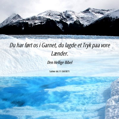 Picture 06 - Salme 66:11 DA1871 - Du har ført os i Garnet, du lagde et Tryk paa - Bible Verse Picture