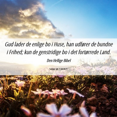 Picture 06 - Salme 68:7 DA1871 - Gud lader de enlige bo i Huse, han udfører de - Bible Verse Picture