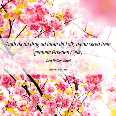 Picture 06 - Salme 68:8 DA1871 - Gud! da du drog ud foran dit Folk, da du skred - Bible Verse Picture
