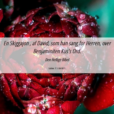 Picture 06 - Salme 7:1 DA1871 - En Skiggajon , af David, som han sang for Herren, - Bible Verse Picture