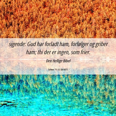 Picture 06 - Salme 71:11 DA1871 - sigende: Gud har forladt ham, forfølger og - Bible Verse Picture