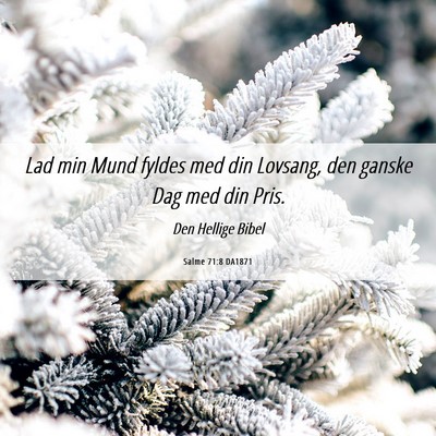 Picture 06 - Salme 71:8 DA1871 - Lad min Mund fyldes med din Lovsang, den ganske - Bible Verse Picture