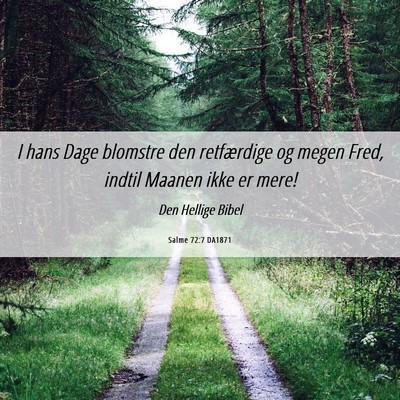 Picture 06 - Salme 72:7 DA1871 - I hans Dage blomstre den retfærdige og megen - Bible Verse Picture