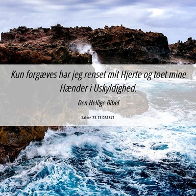Picture 06 - Salme 73:13 DA1871 - Kun forgæves har jeg renset mit Hjerte og toet - Bible Verse Picture