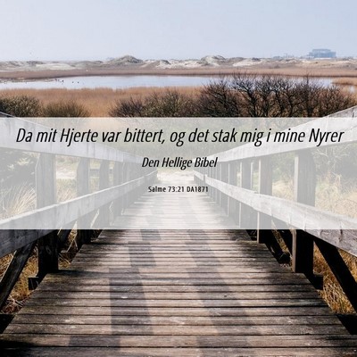 Picture 06 - Salme 73:21 DA1871 - Da mit Hjerte var bittert, og det stak mig i mine - Bible Verse Picture
