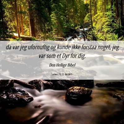 Picture 06 - Salme 73:22 DA1871 - da var jeg ufornuftig og kunde ikke forstaa - Bible Verse Picture