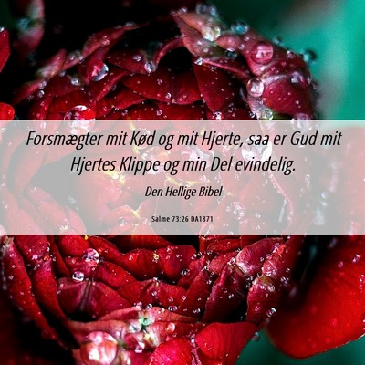 Picture 06 - Salme 73:26 DA1871 - Forsmægter mit Kød og mit Hjerte, saa er Gud - Bible Verse Picture