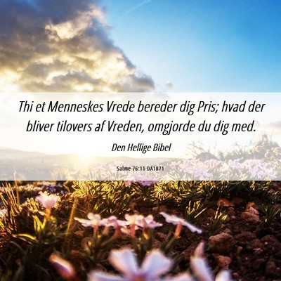 Picture 06 - Salme 76:11 DA1871 - Thi et Menneskes Vrede bereder dig Pris; hvad der - Bible Verse Picture