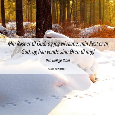 Picture 06 - Salme 77:2 DA1871 - Min Røst er til Gud, og jeg vil raabe; min Røst - Bible Verse Picture