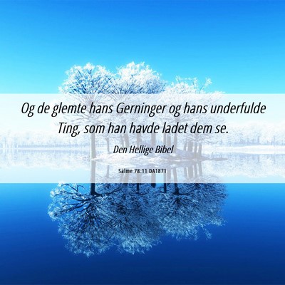 Picture 06 - Salme 78:11 DA1871 - Og de glemte hans Gerninger og hans underfulde - Bible Verse Picture