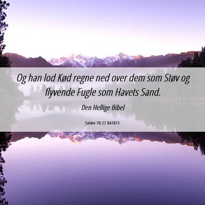 Picture 06 - Salme 78:27 DA1871 - Og han lod Kød regne ned over dem som Støv og - Bible Verse Picture